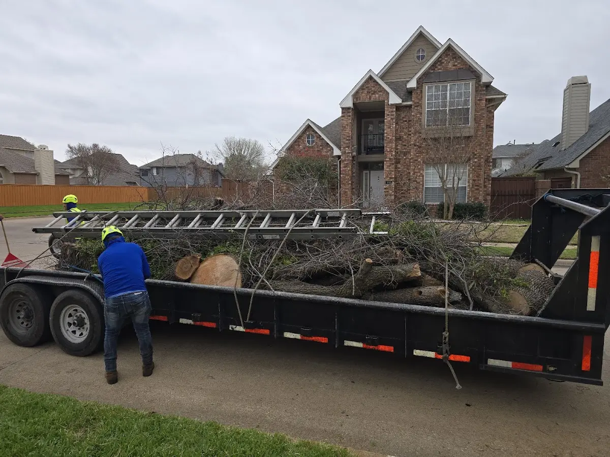 Expert Lot Clearing with proper safety equipment in Thermal